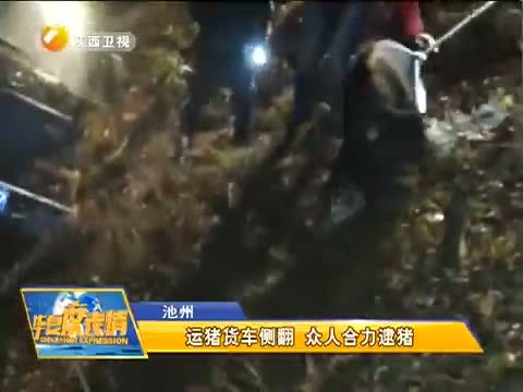 华夏夜表情 《华夏夜表情》 20150112