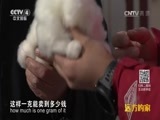 远方的家 《远方的家》长城内外 第168集 暖暖白羊绒 多彩牧人家 20160615
