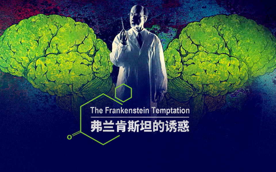 弗兰肯斯坦的诱惑 脑叶切除术