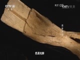地理中国 《地理中国》 20160616 遗骨寻踪