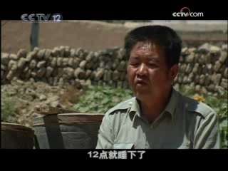 天网 审车