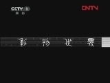 动物世界 《动物世界》 20120118