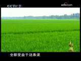 社稷 社稷 第3集 水润阡陌