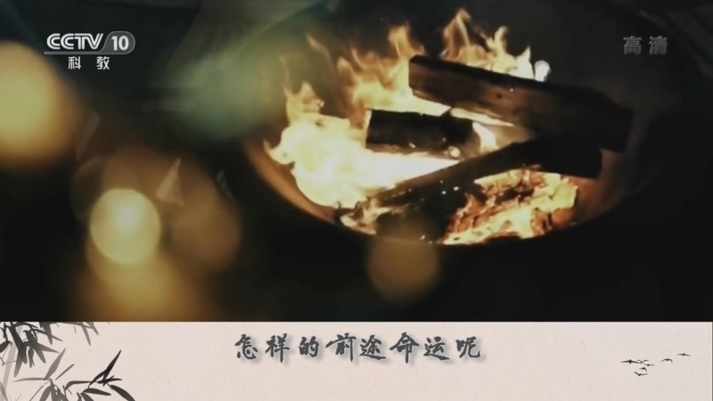 百家讲坛 《百家讲坛》 20221023 诗说先秦 9 庭燎之光兆中兴