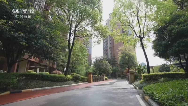 天网 《天网》 20230925 盗仙草