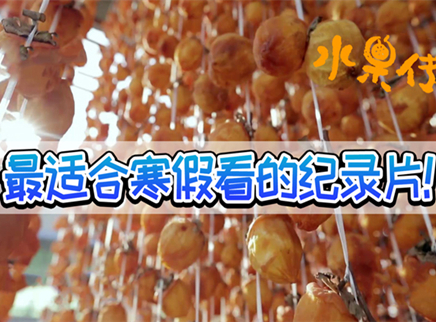 理娱打挺疼. 寒假必看的国产良心美食纪录片