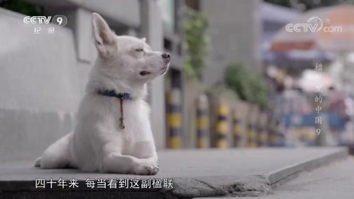 《楹联里的中国》 第九集 行业联话