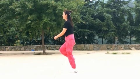 广场舞 广场鬼步舞，好看！