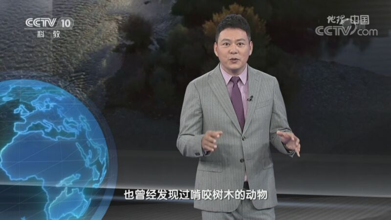 地理中国 《地理·中国》 20200928 秘境栖息地·乌伦古河的秘密 上