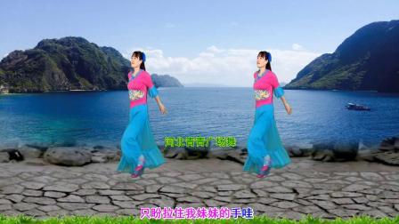 流行DJ广场舞及教学 第三季 简单动感广场舞《纤夫的爱》32步演示分解