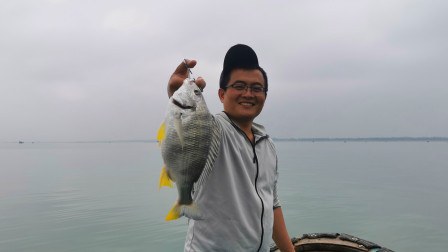 思乡渔夫赶海 渔夫展现钓鱼硬实力，和小伙伴钓鱼比赛，直接吊打他到没脾气