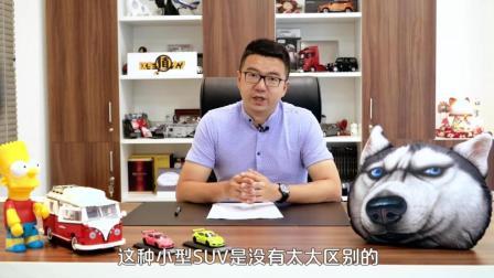 选择小众车注意这些你知道吗