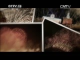 新闻直播间 《新闻直播间》 20141231 10:00