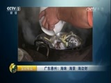 生财有道 《生财有道》 20161219 广东惠州：海味 海景 海边财