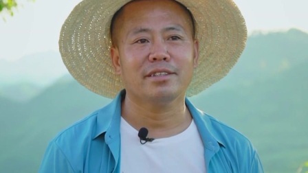与梦想合拍 满山尽挂黄金桃
