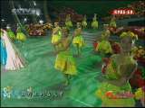 风华国乐 风华国乐 2010年 第134期