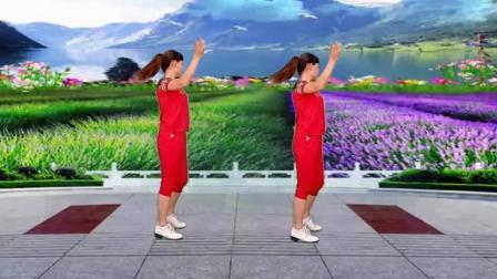 广场舞《听不完的情歌流不完的泪》编舞: 玫香