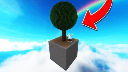 时空小涵我的世界 第一季 在只有一颗树的地方你可以生存吗？