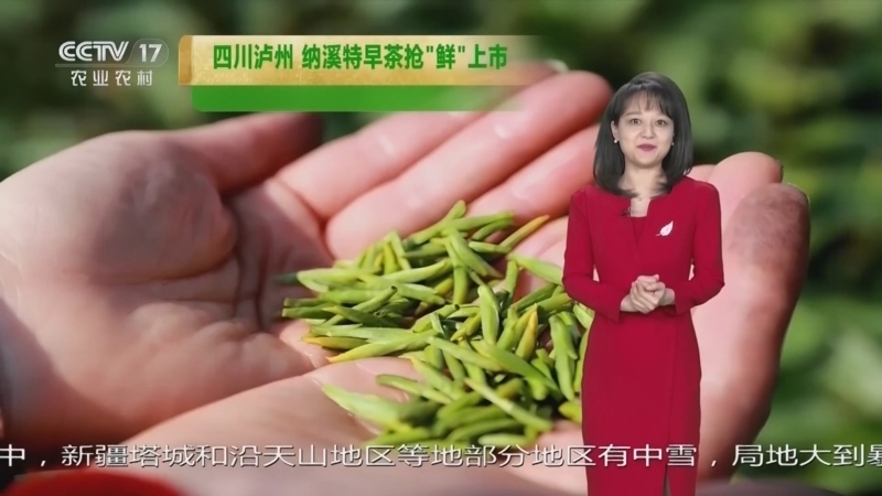 《农业气象》 20260219 18:25