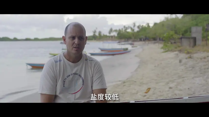 《解密海洋》第1集