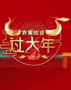 农家院里过大年 海报