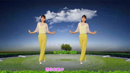 流行DJ广场舞及教学 第三季 心醉DJ广场舞《昨夜梦里都是你》32步附分解