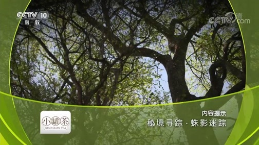 地理中国 《地理中国》 20181129 秘境寻踪·蛛影迷踪