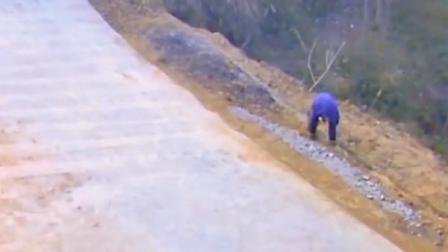 外孙女即将出嫁，外婆在屋前种花