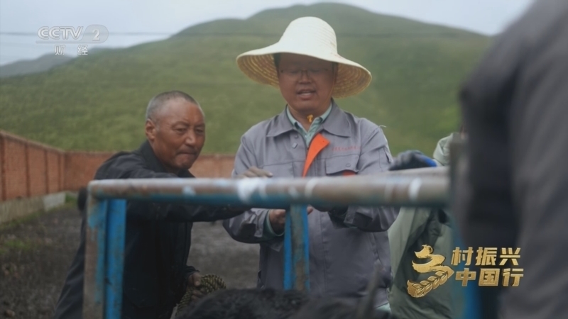 乡村振兴中国行第四季 《乡村振兴中国行》第四季 20251010 秘境甘南 生态富民