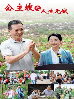 公主坡之人生无憾