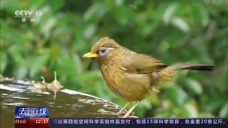 法治在线 《法治在线》 20230605