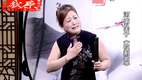 河南坠子 河南坠子《拉荆笆》