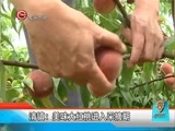 新闻延长线 《新闻延长线》 20160610