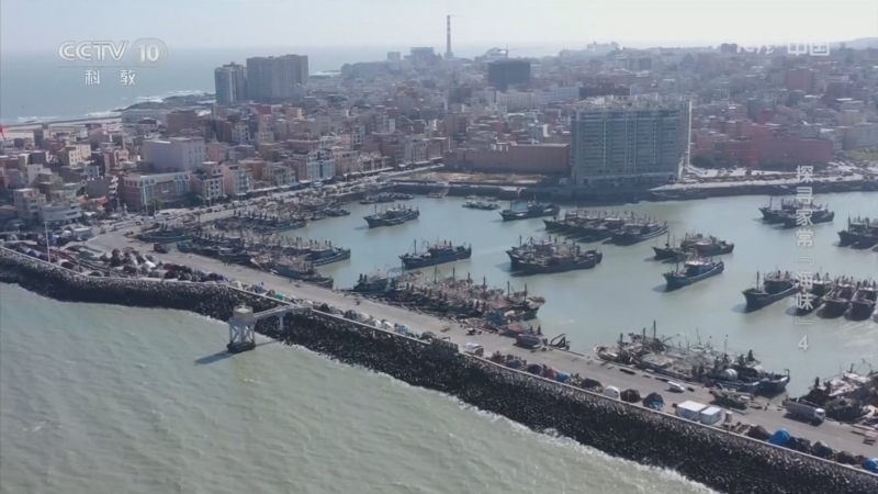 《地理·中国》 20260514 探寻家常“海味”4