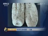 消费主张 《消费主张》 20161109 秋冬养生食材调查——天麻