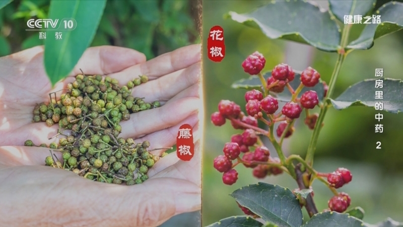 《健康之路》 20251214 厨房里的中药 2