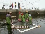 致富经 《致富经》 20151019 喝茶时听来的意外商机