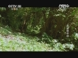 自然传奇 《自然传奇》 20140703 黑猩猩帝国