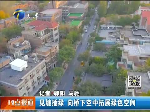 12点报道 《12点报道》 20151030