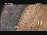 寻宝 《寻宝》 20150121 走进天津蓟县