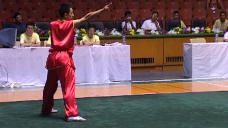 尘封赛事 2005年全国武术套路冠军赛传统项目比赛 男子拳术 038