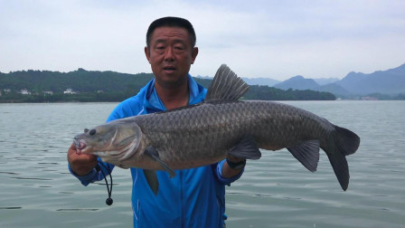 游钓中国 第四季 清江猎青第一战 几经辗转多磨难