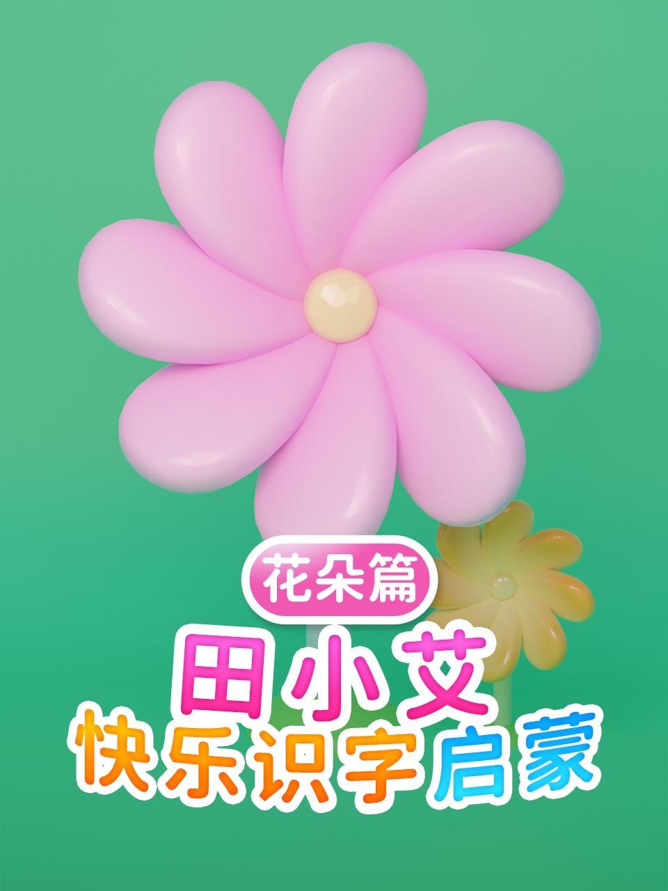 田小艾快乐识字启蒙 花朵篇