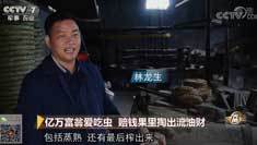 致富经 [致富经]亿万富翁爱吃虫 赔钱果里掏出流油财 20181226