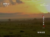 动物世界 《动物世界》 20180314 情满大草原（一）