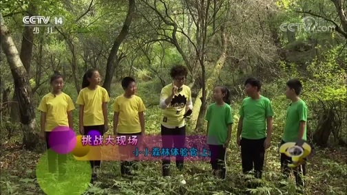 芝麻开门【央视】 《芝麻开门》 20181006 挑战大现场