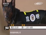 见证 《见证》 20150906 警犬出击 第六集 循踪觅迹