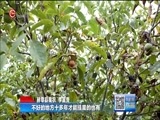 贵州新闻联播 《贵州新闻联播》 20170704
