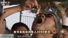 致富经 [致富经]蚝爷卖蚝如何年入4000多万 20161230