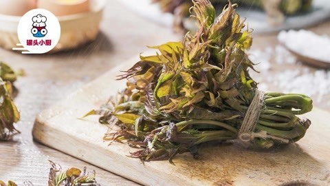 罐头小厨 香椿3种保存方法